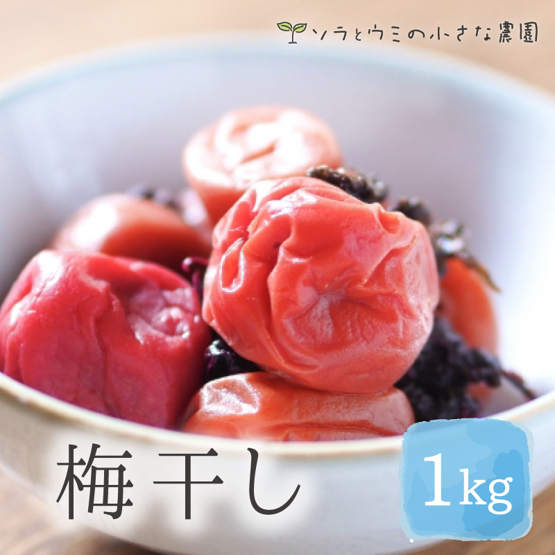 umeboshi01