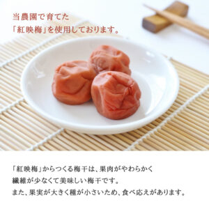 umeboshi01