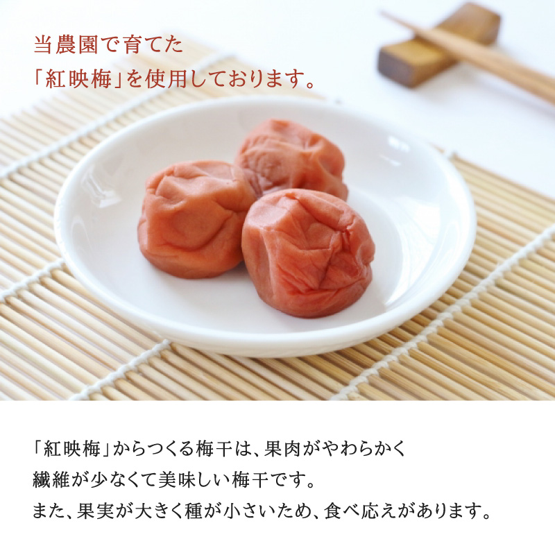 umeboshi01